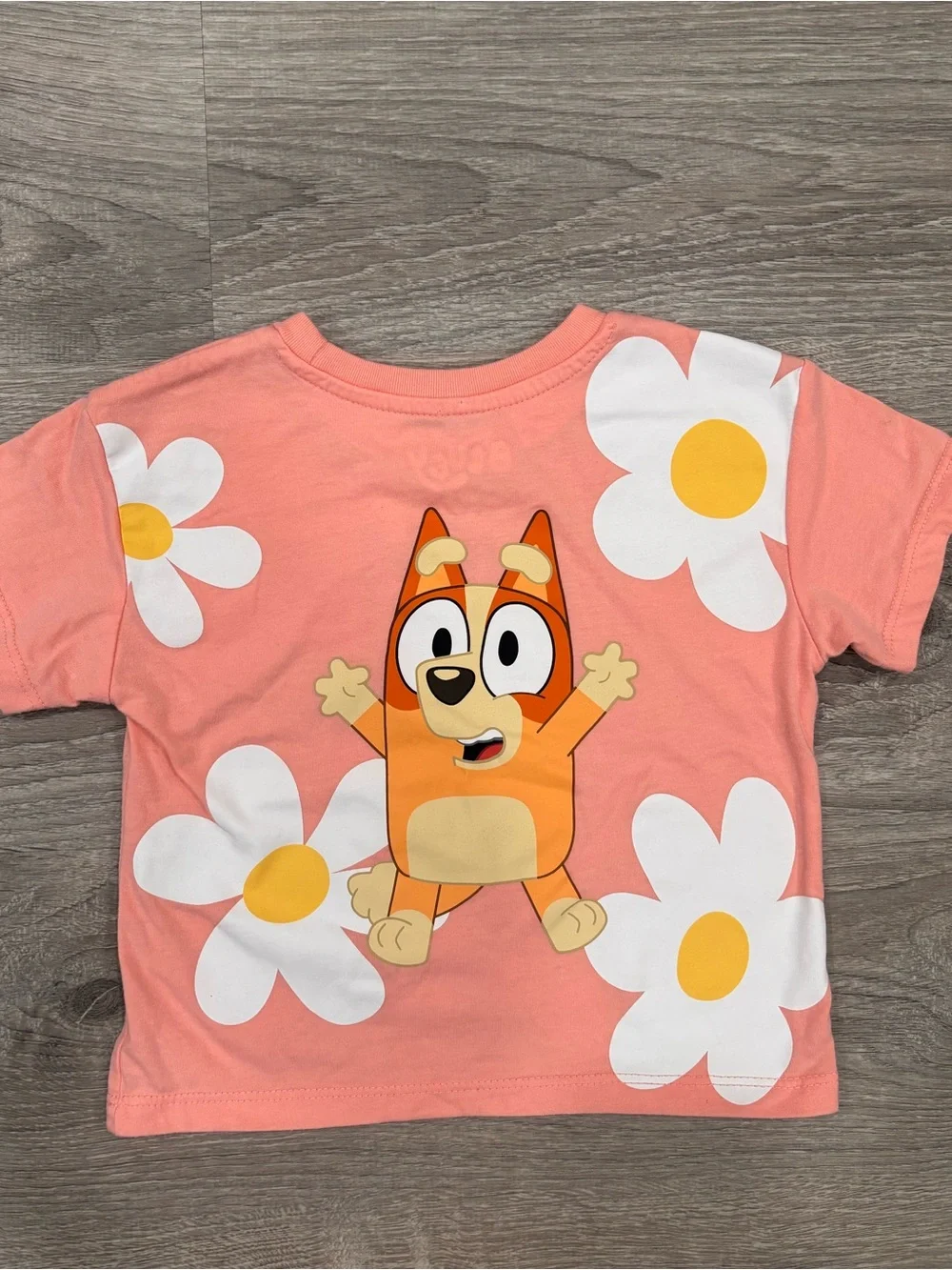 4T Girls Bluey & Bingo Pink Floral Graphic Tee
